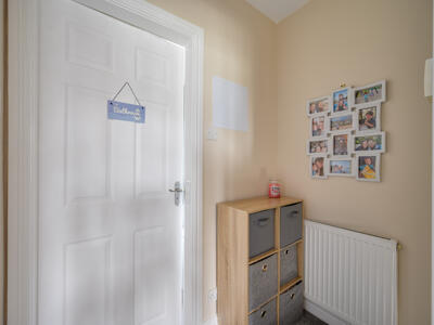 Picture 13